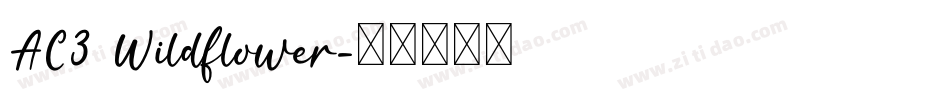 AC3 Wildflower字体转换